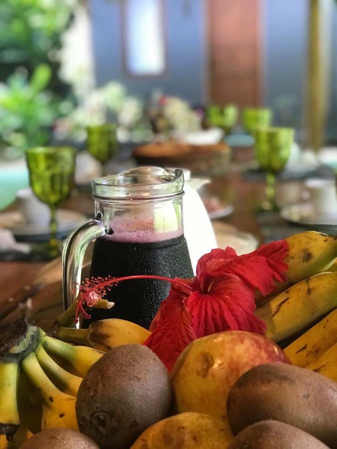 トランコーゾ Casa Da Lua Bed & Breakfast エクステリア 写真