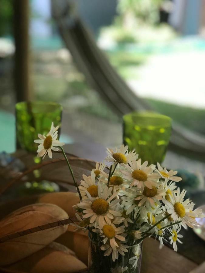 トランコーゾ Casa Da Lua Bed & Breakfast エクステリア 写真